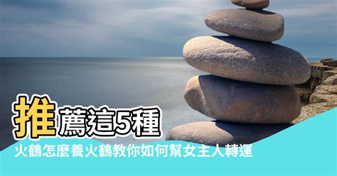 火鶴花風水|火鶴可以放房間嗎？專家教你風水佈局，打造和諧家居環境